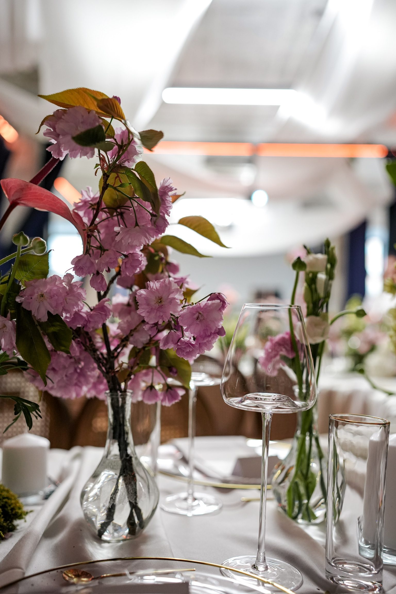 Tatjana 30, Zoom Art Cafe — 21
