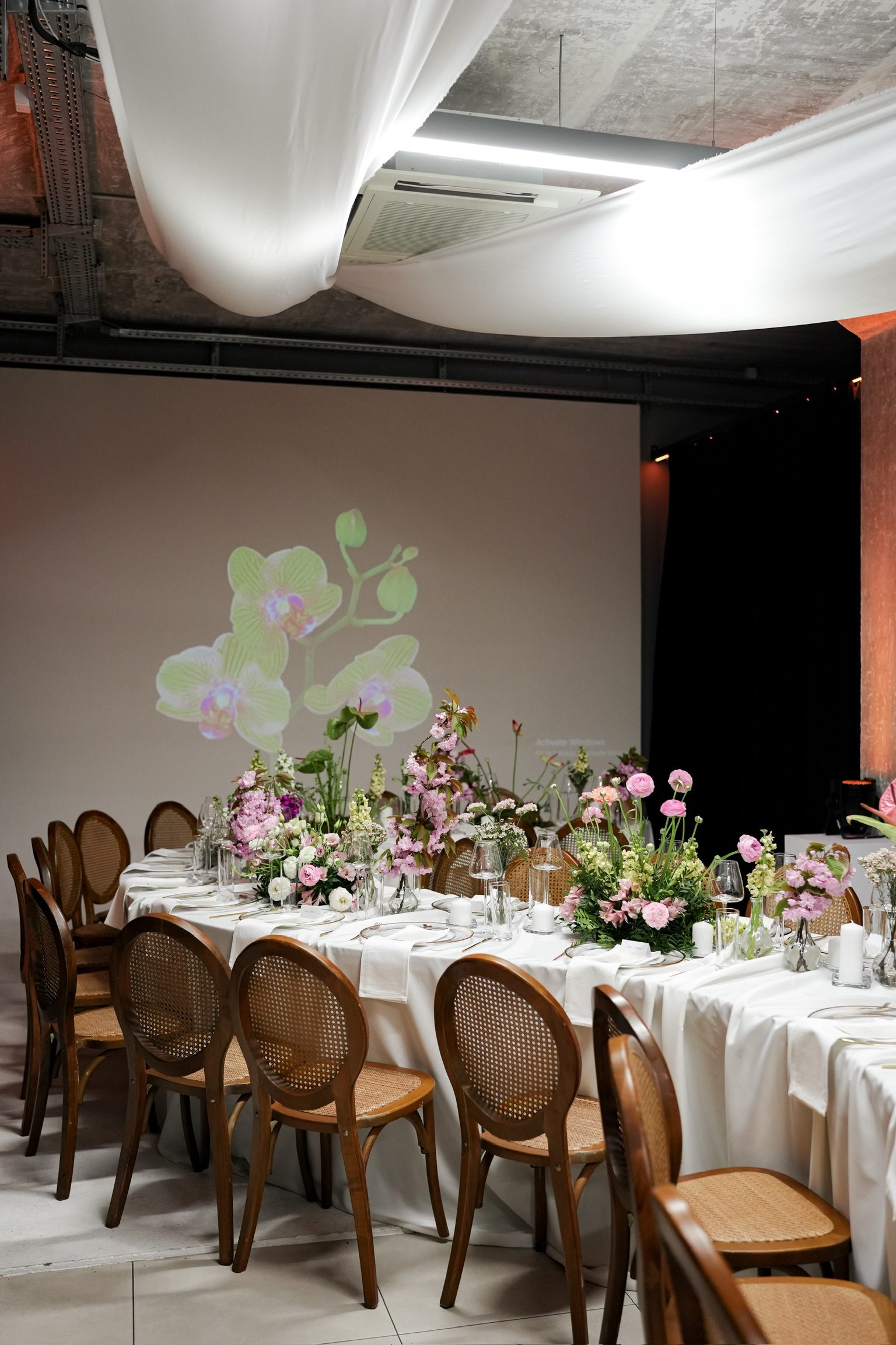 Tatjana 30, Zoom Art Cafe — 20