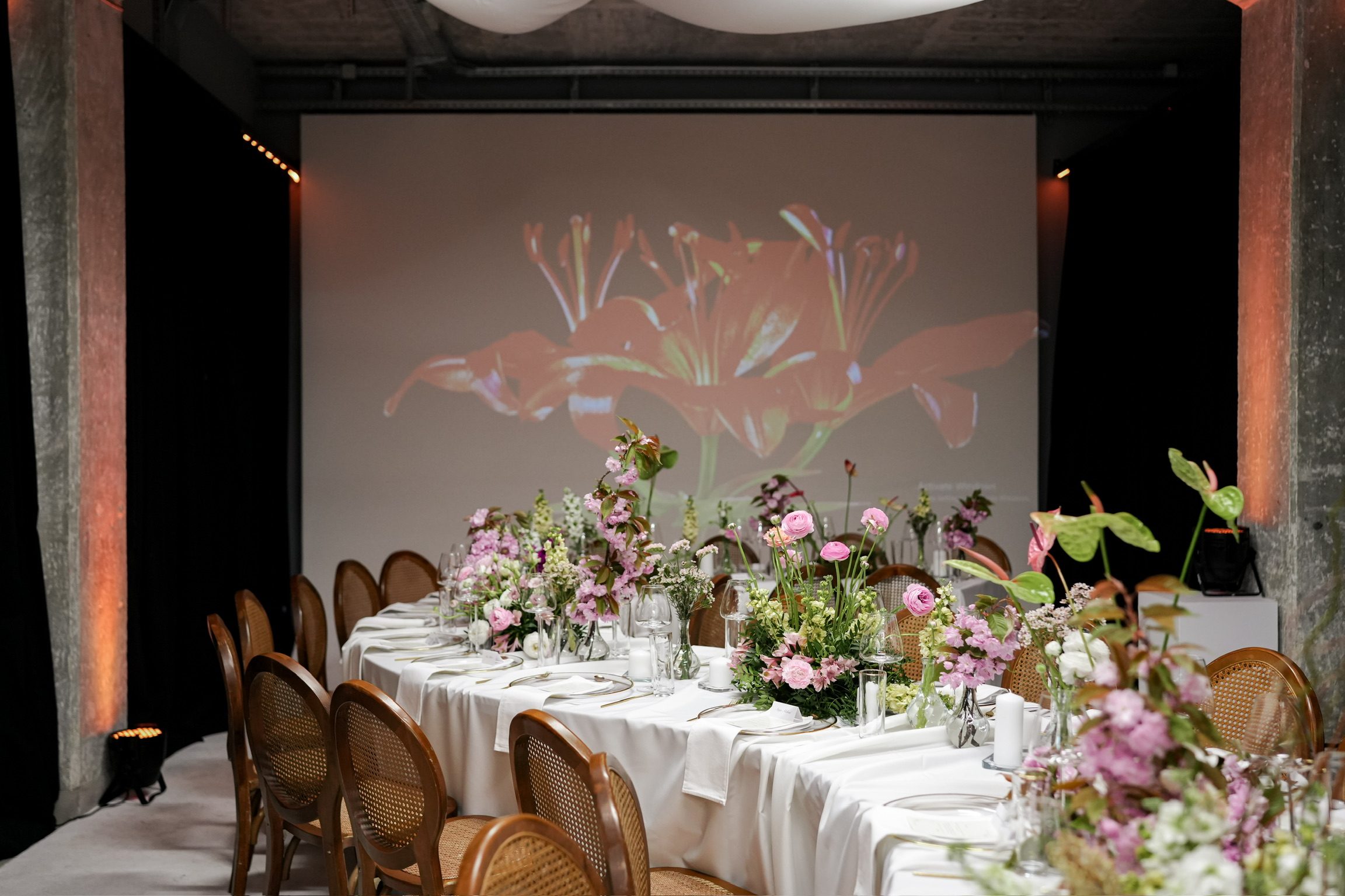 Tatjana 30, Zoom Art Cafe — 18