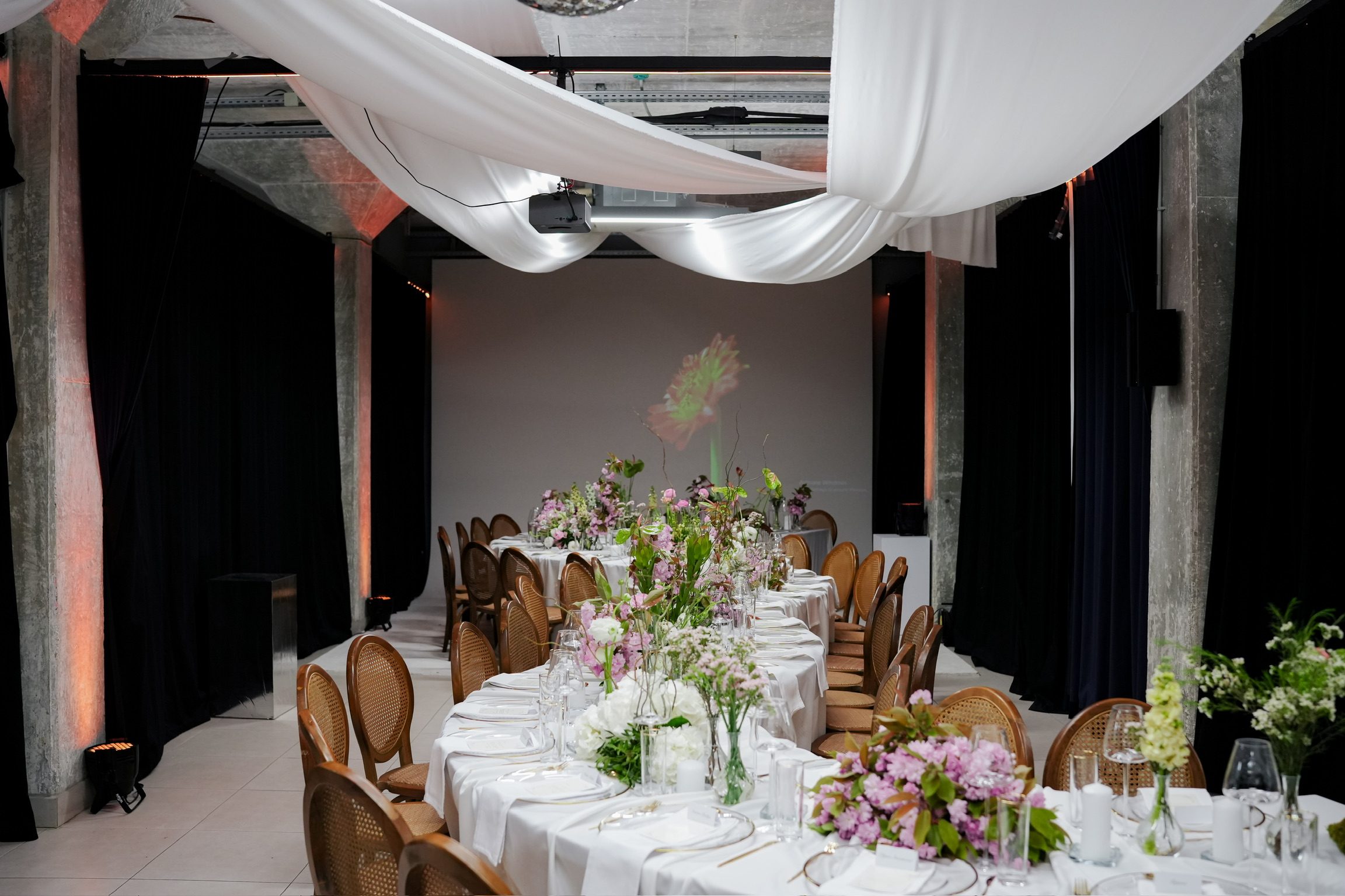 Tatjana 30, Zoom Art Cafe — 13