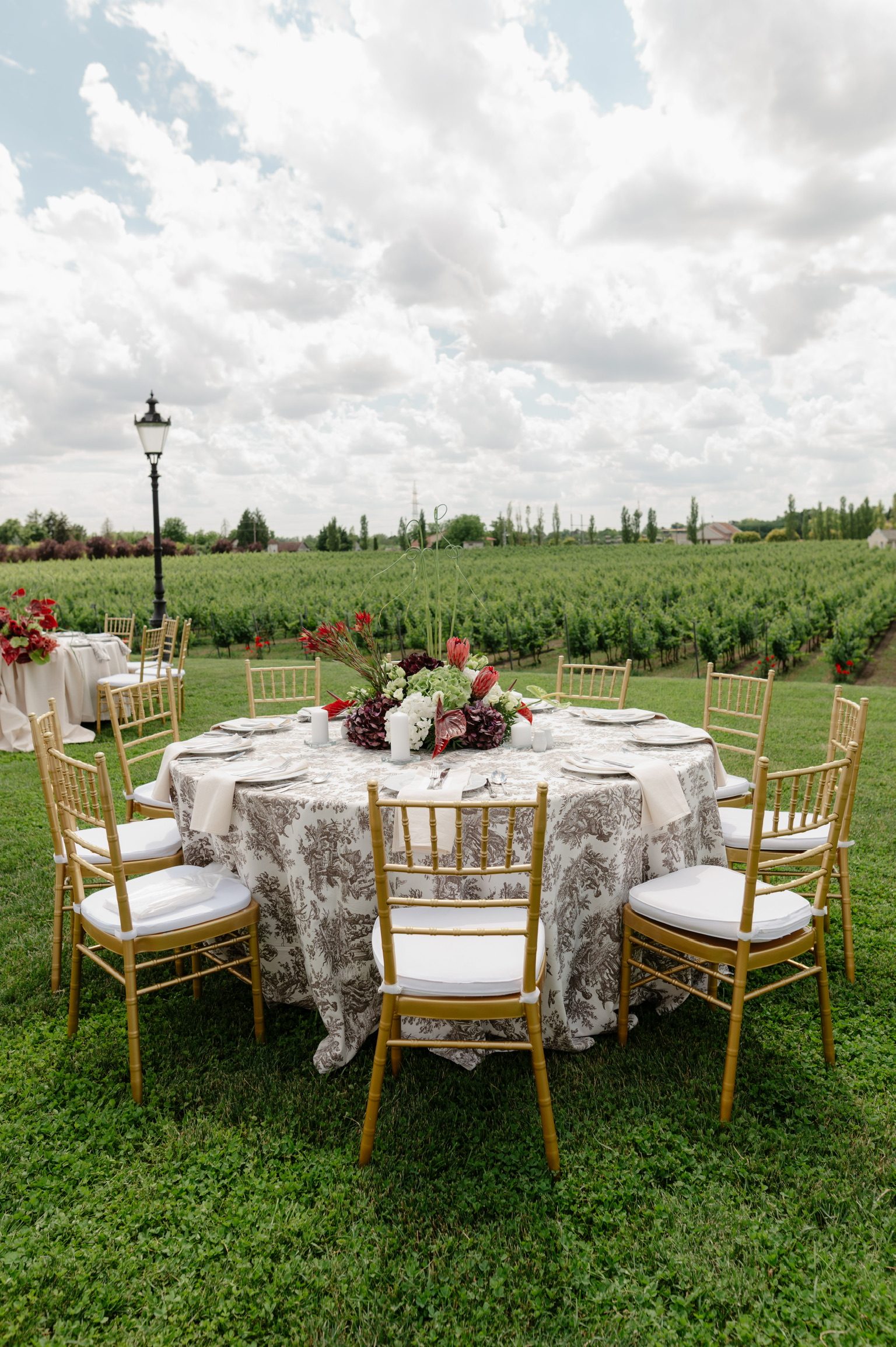 A & I, Winery Zvonko Bogdan — 13