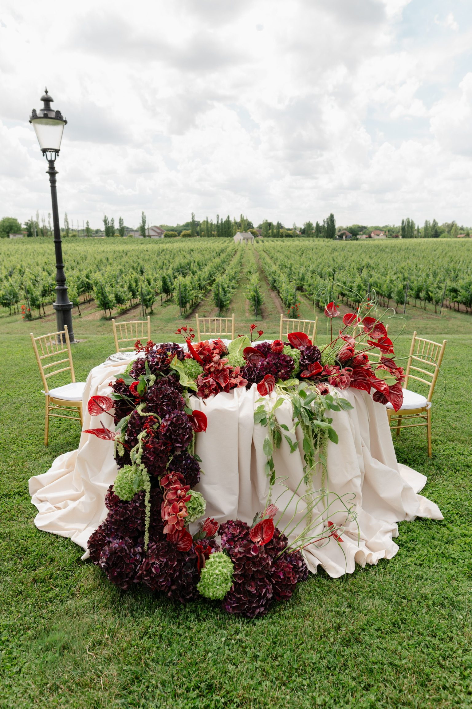 A & I, Winery Zvonko Bogdan — 1