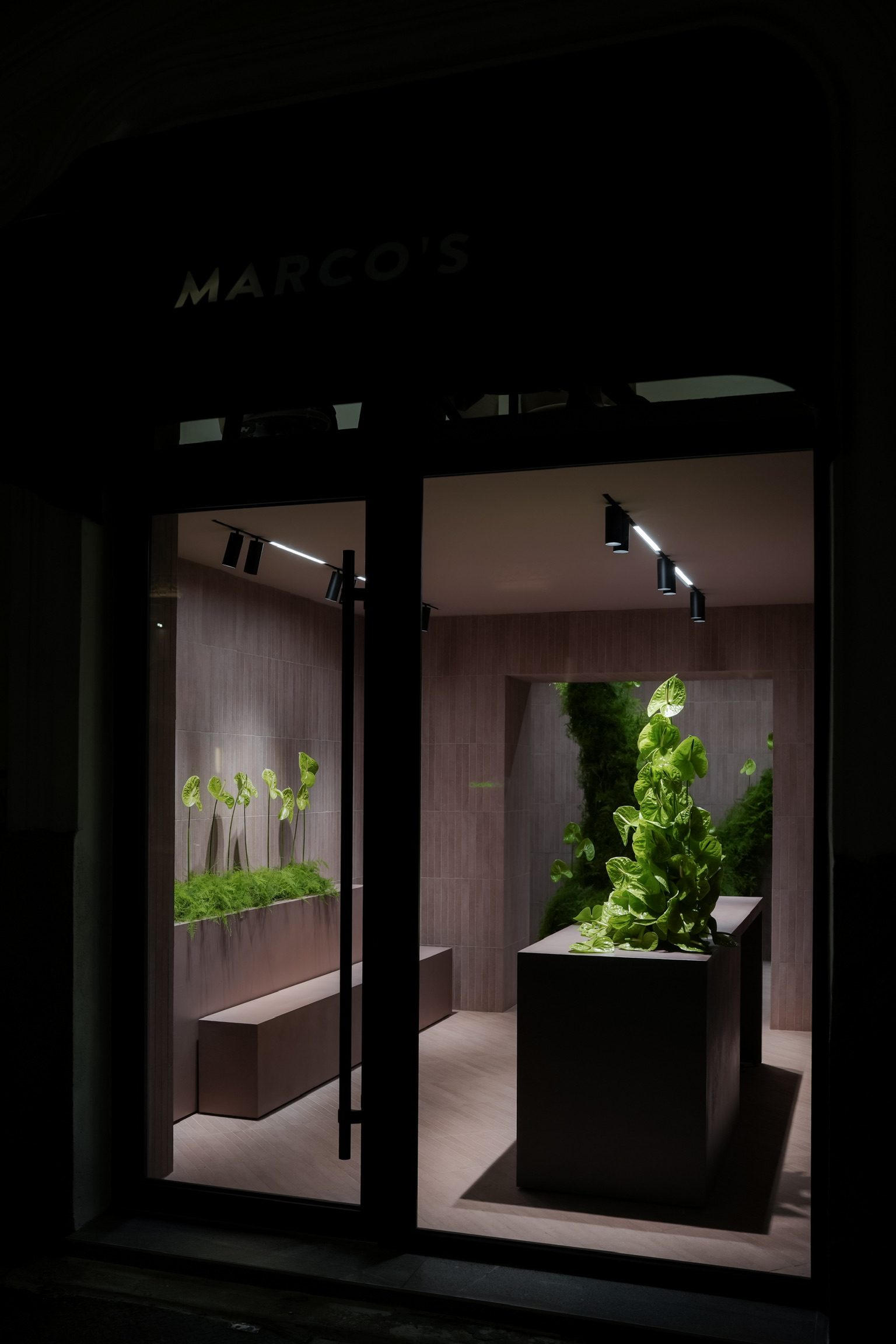 MARCO’S Flower Shop — 5