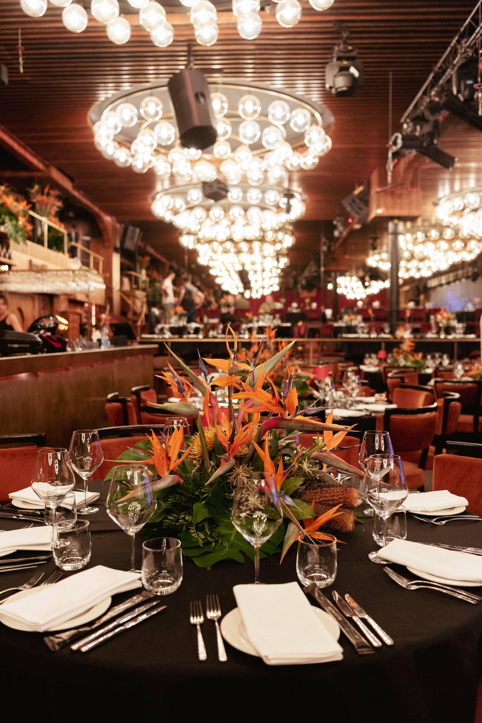 Gibonni, Lafayette — 15